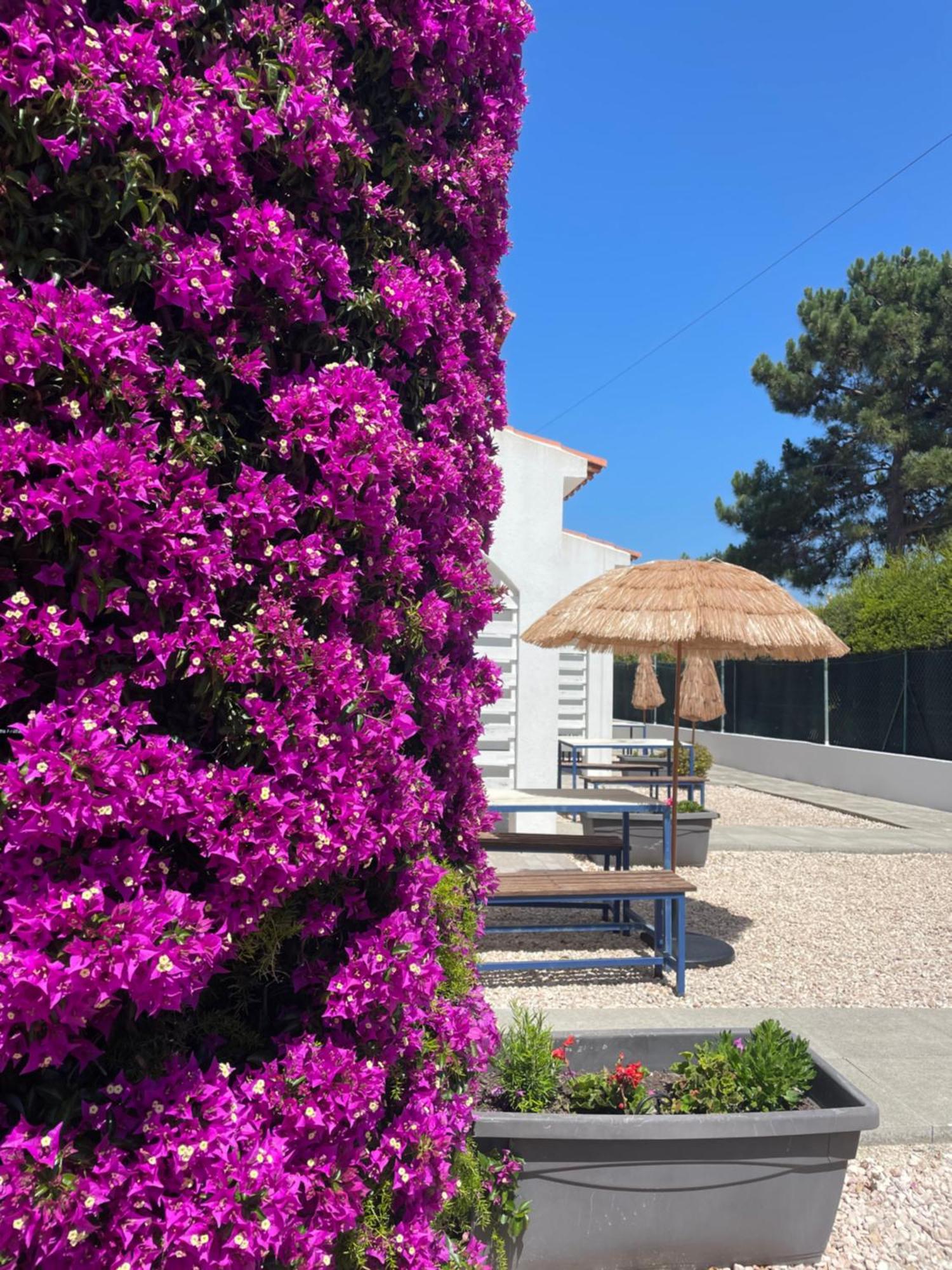 California Dream Inn Aljezur Exterior photo